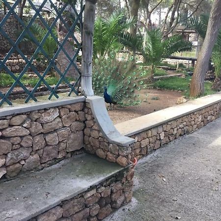 16 Porto Santo Apartments 외부 사진