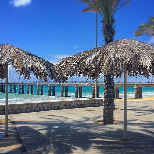 16 Porto Santo Apartments 외부 사진
