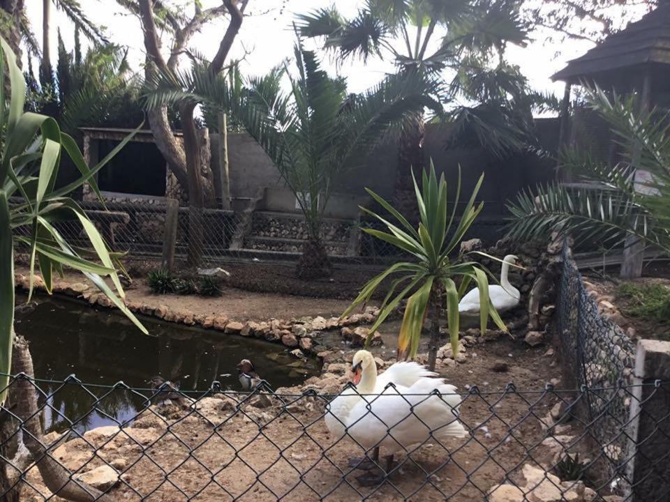 16 Porto Santo Apartments 외부 사진
